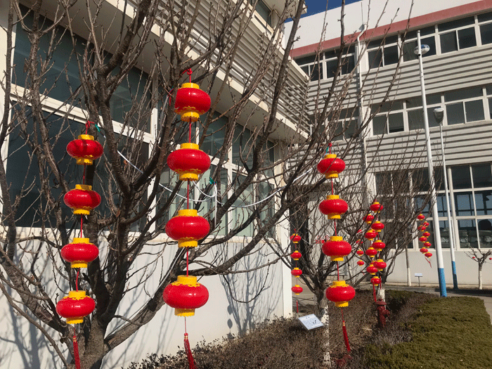 烟台威廉希尔·体育化工恭祝大家2021牛年行大运